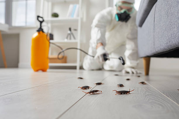 Affordable Cockroach Control solutions in Zephyrhills North, FL